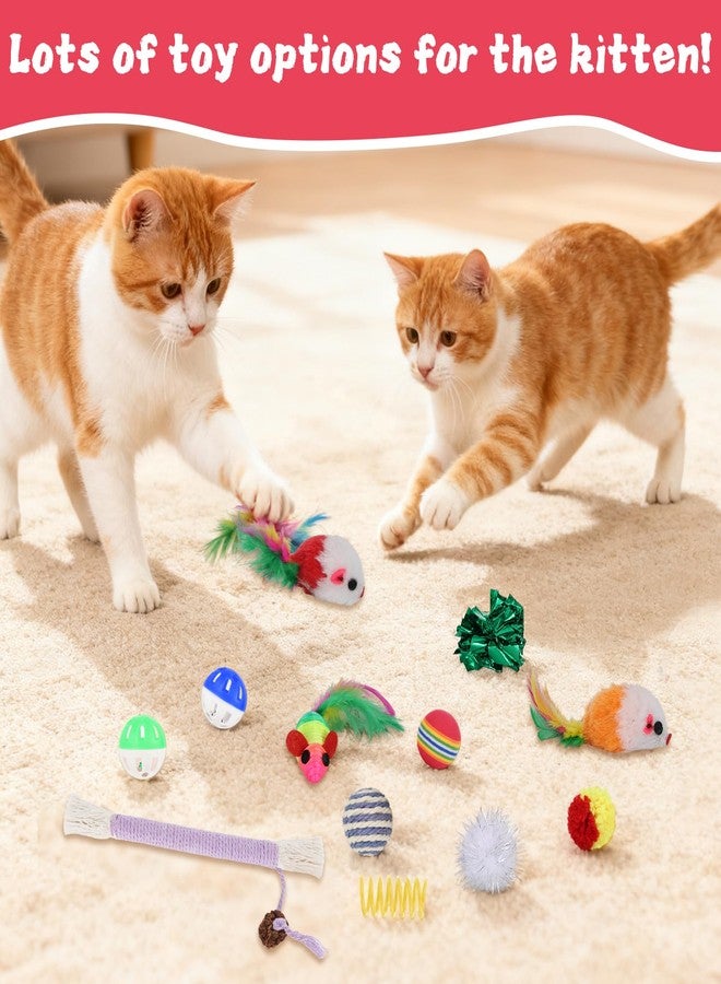 Foxtell Cat Ball Pit Include 229 PCS Interactive Cat Toys for Indoor Bored Self Play Enrichment Toy for Indoor Cats Interactive Fun and Exercise - Image 4